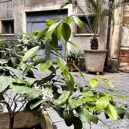 Gæstehus Orlando E Angelica By Tabula House 3*