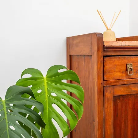 Orlando E Angelica By Tabula House